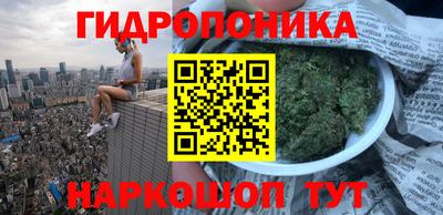 ГАЛЛЮЦИНОГЕННЫЕ ГРИБЫ Кунгур