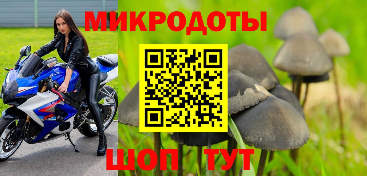 Галлюциногенные грибы GOLDEN TEACHER Избербаш
